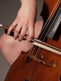 Areena-in-Sweet-Cello-1-q34b258u2w.jpg